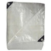 Tarp/Agriculture Cover, Transparent, 25 x 40-Ft.