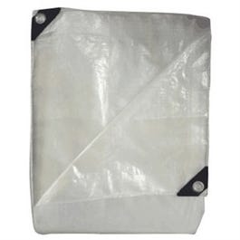 Tarp/Agriculture Cover, Transparent, 25 x 40-Ft.