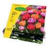 Spring Tulip Bulbs, 12-Pk.