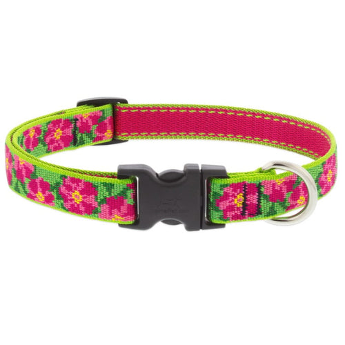 Lupine Pet Original Designs Dog Collar