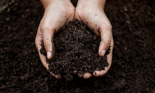 Soil in hands