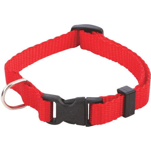 Westminster Pet Ruffin' it Nylon Adjustable Collar