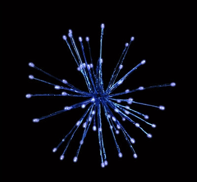 Holiday Bright Lights 16