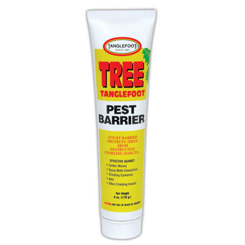 Tanglefoot Tree Tanglefoot Pest Barrier