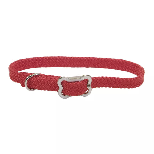 Coastal Pet Products Sunburst Dog Collar with Bone Buckle