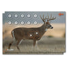 Allen 15286 EZ Aim Four Color Paper 23 x 35 Whitetail Deer 2 Per Pack