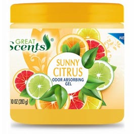 Odor Absorbing Gel, Citrus Fresh, 10-oz.