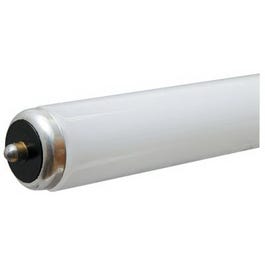 Fluorescent Tube, Cool White, 60-Watts, 8-Ft.