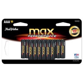 Alkaline Batteries, AAA, 16-Pk.