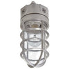 Floodlight With Bulb Guard, Incandescent, 100-Watt