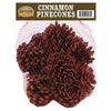 Cinnamon Pine Cones, Bagged