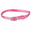 Dog Collar, Hot Pink, 3/8 x 12-In.