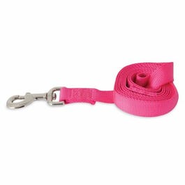 Dog Leash, Hot Pink, 1-In. x 6-Ft.