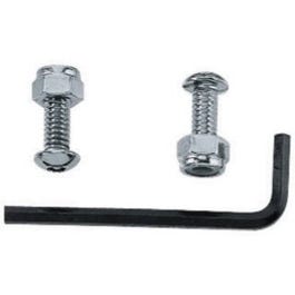 Anti-Theft License Bolt, 2-Pk.