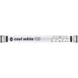 Ecolux Fluorescent Light Bulbs, Cool White, 20-Watts, 24-In., 6-Pk.