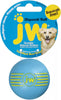 JW Pet iSqueak Ball Dog Toy