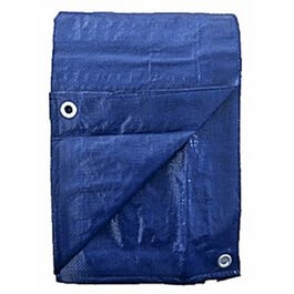 Polyethylene Tarp, Blue, 6 x 8-Ft.