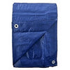 Polyethylene Tarp, Blue, 8 x 10-Ft.