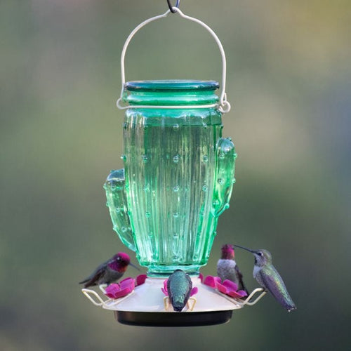 Perky-Pet® Cactus Top-Fill Hummingbird Feeder