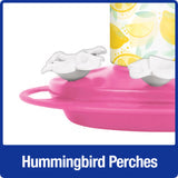 Nature's Way Hummingbird Lemonade Stand Feeder ((Model# DGHF-ALSF) 20 Oz)