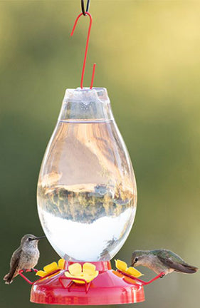 HUMMINGBIRD FEEDER 30 OZ ROUNDED VASE