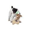 Petsafe Sheepskin Toys (Bone, Monster)