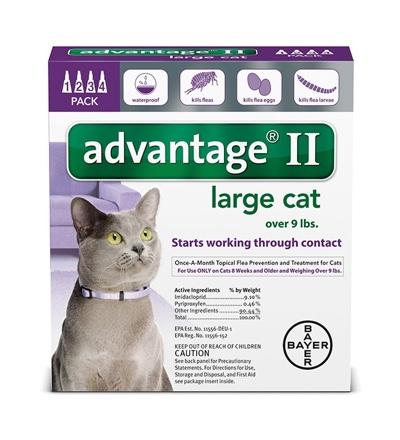 Advantage® II for cats