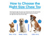 JW Chompion Dog Chew Toy (Medium-Middleweight)