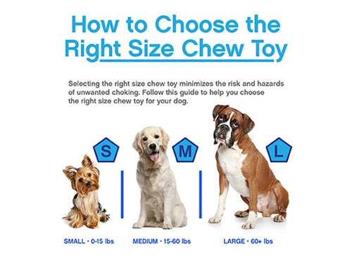 JW Chompion Dog Chew Toy (Medium-Middleweight)