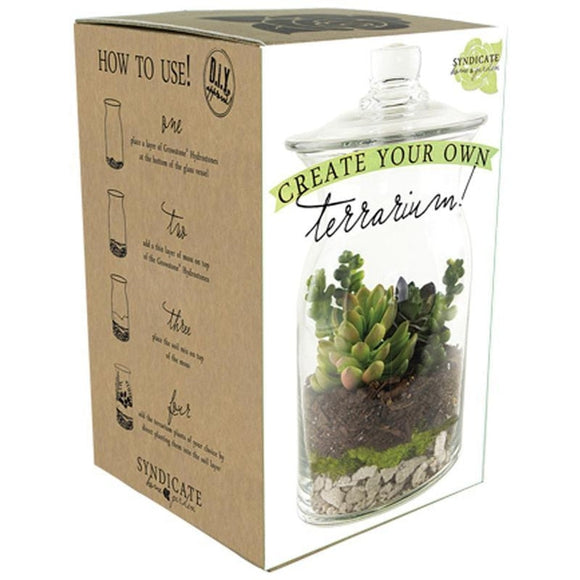 DIY TERRARIUM KIT (MEDIUM)